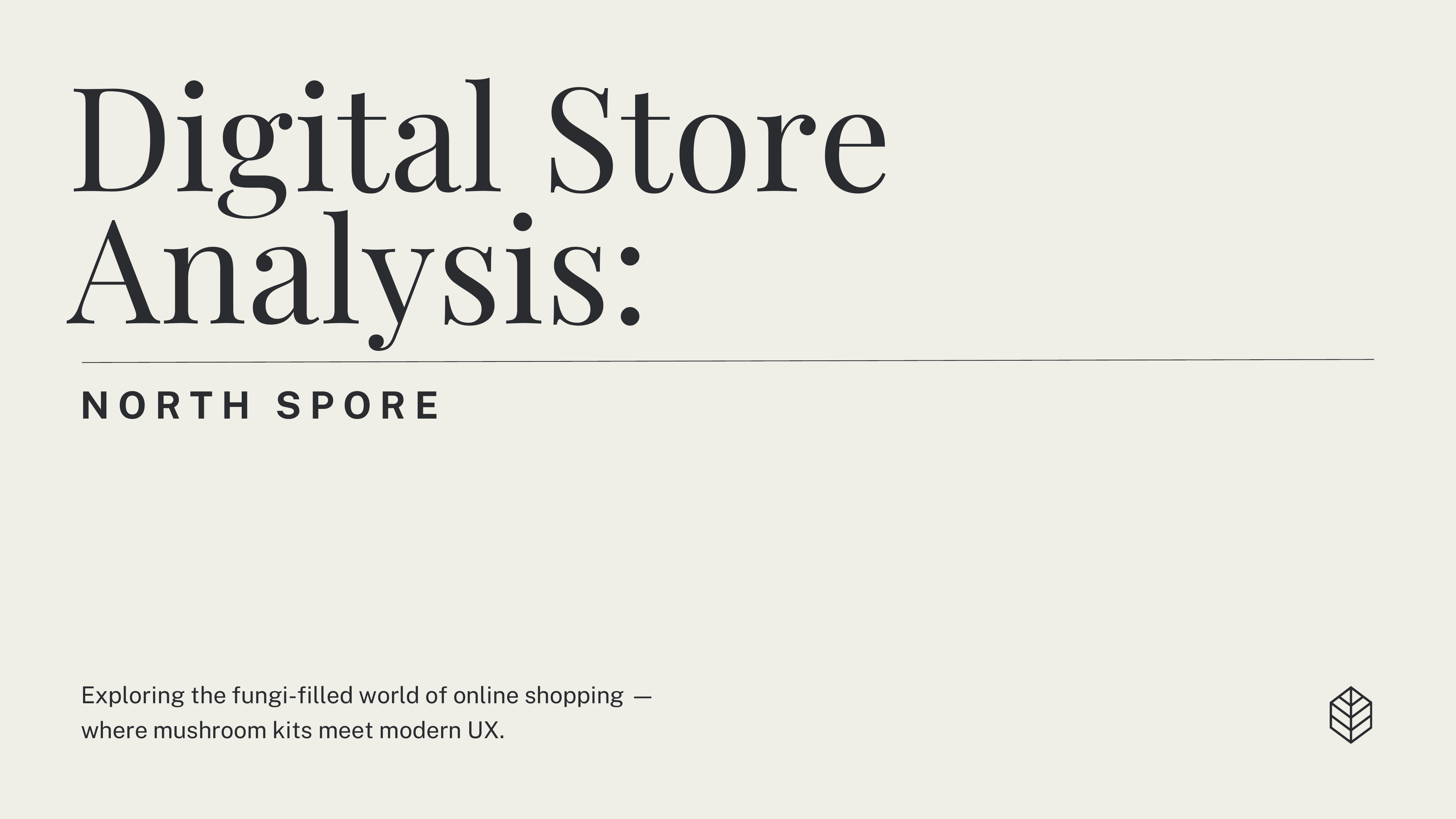 North Spore UX audit